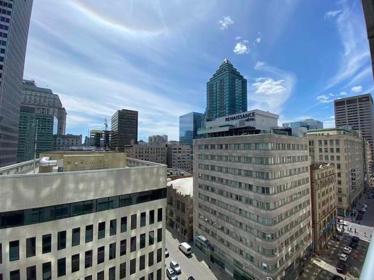 Appartement à louer, Montréal (Ville-Marie) - Photo 1