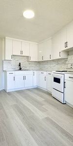 Brand new 3 bed 2 bath spacious apartment, steps to U o C - Photo 4