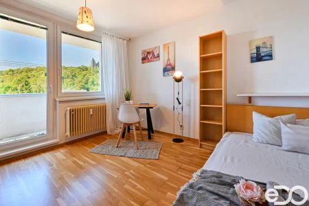 Pronájem bytu 1+1 se dvěma balkony Brno Žabovřesky, ulice Vychodilova - Fotografie 5