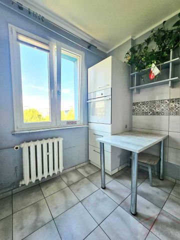 3. pokoje w centrum Polic na wynajem od zaraz! (438778) - Фото 5