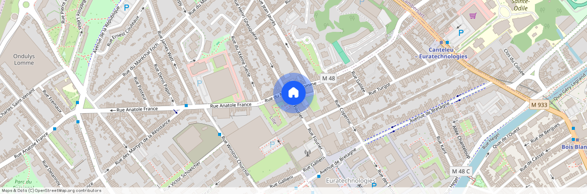122 Rue du Marais de Lomme, 59000 Lille