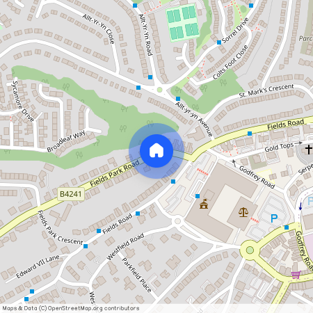 Fields Park Road Newport NP20 5BA