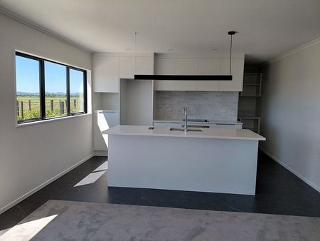 Brand new with lake views - Photo 2