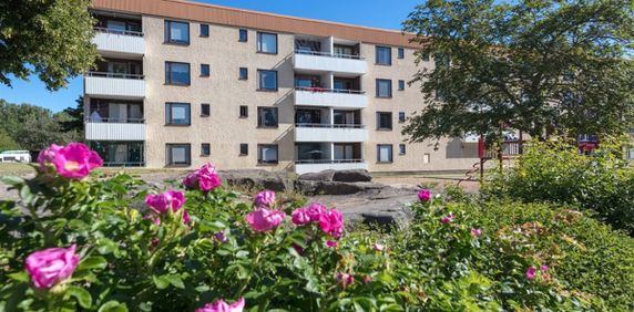 Vilbergsgatan 93 - Photo 2