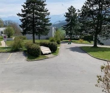 3.5 Zimmer, EG - Foto 5