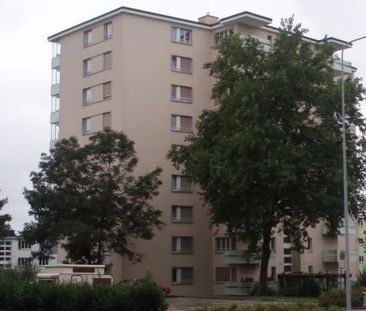 2.5 Zimmer, 54 m², 3. Stock - Photo 1