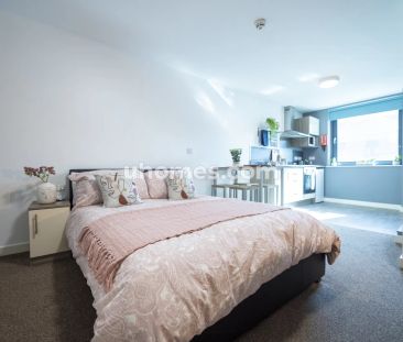 PLUS Superior Studio - Photo 1