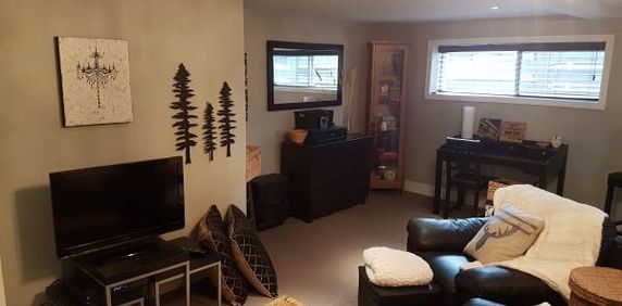 Renovated Suite - Includes Utilities, TV, Internet - Photo 2