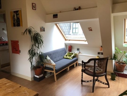 Te huur: 2-kamer appartement op rustige locatie bij binnenstad Utrecht - Photo 1