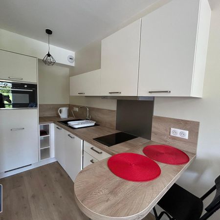 Location Appartement 1 pièce 32m² CHEVIGNY ST SAUVEUR 21800 - Photo 3