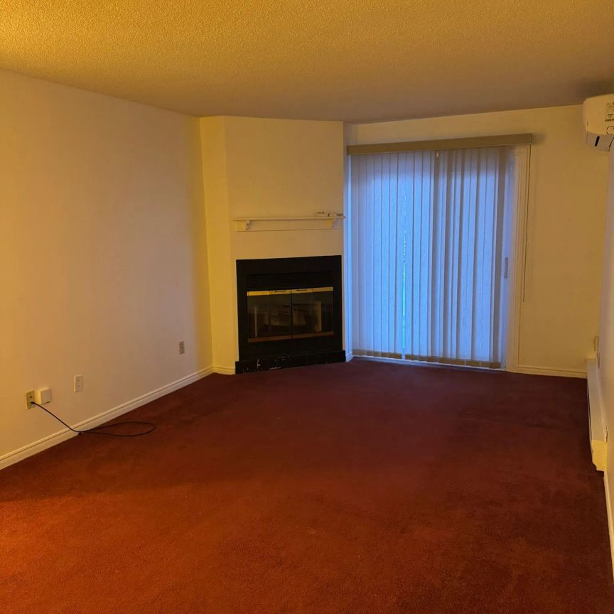 221 North Park Street #211A - Photo 1