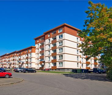 Demnächst frei! 5-Zimmer-Wohnung in Essen Freisenbruch - Photo 5