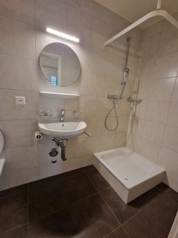 A saisir ! Sublime duplex dans un quartier calme et verdoyant ! - Photo 3