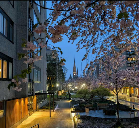 Nordostpassagen, Göteborg - Foto 5