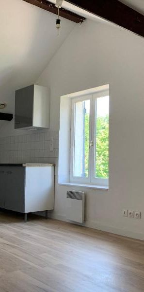 Location Appartement 1 pièce 16m² PONT DE CHERUY 38230 - Photo 1