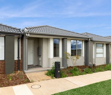 Spacious & Stylish Living in Rockbank - Photo 5