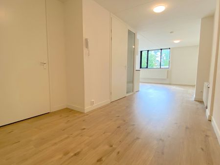 Hoendiep 95B - Photo 5