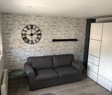 Location Appartement 1 pièce 20m² - Photo 1