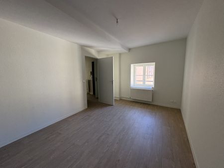 Location Appartement 2 pièces 66m² CHARLIEU 42190 - Photo 2