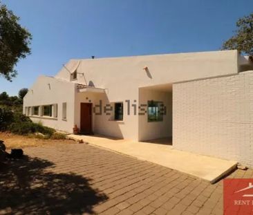 Alquiler de casa o chalet independiente en Calle Cañada de las Palomas - Photo 1