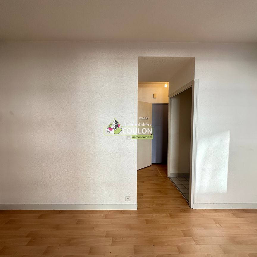 Appartement - 1 pièce - Jardin Lecoq/Facultés - Photo 1