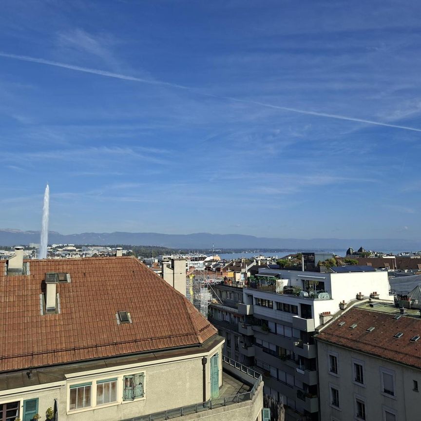 Magnifique appartement en attique au coeur des Eaux-Vives - Photo 2