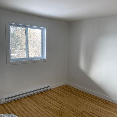 4 1/2 style Condo St Jerome - Photo 3