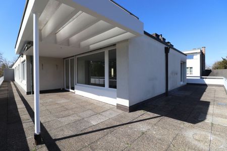 Karl Barth-Platz im Gellert - 7-Zimmer-Dachwohnung mit grosser Dachterrasse - Photo 3