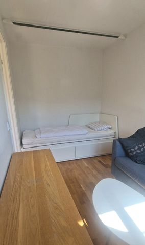 Blåsklöverbacken, Stockholm - Photo 3