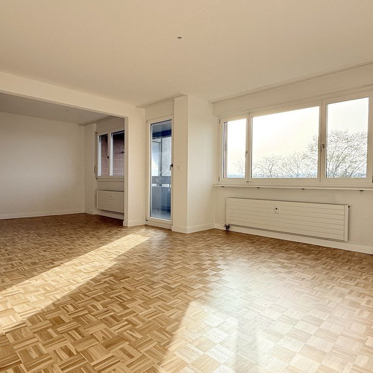 Urbanes Wohnen im Grünen: 2019 sanierte 3-Zimmerwohnung in Muttenz - Photo 1