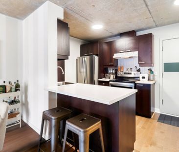 Appartement à louer - Montréal (Ville-Marie) (Centre) - Photo 5