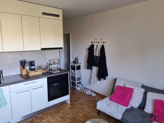 Beautiful fully renovated apartment in Morges - Photo 1