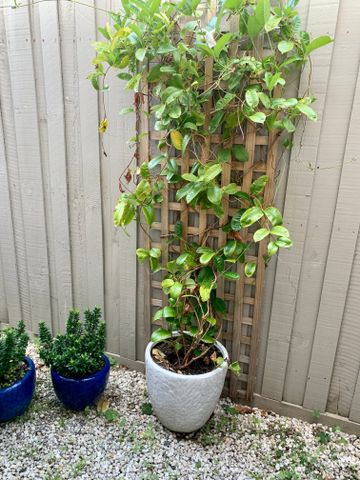 Bentleigh East - Photo 3