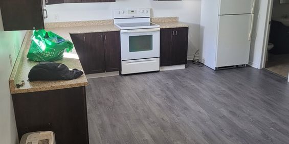 Bel Appartement 3 1/2 (1cc) - Photo 3