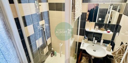 HALLES CENTRALES - PLEIN CENTRE VILLE - Photo 2