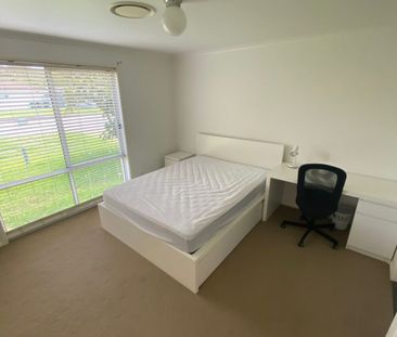 Rooms / 47 Rundle Avenue, WALLSEND NSW 2287 - Photo 6