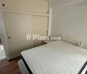 Piso en alquiler en Guardamar del Segura - Photo 3