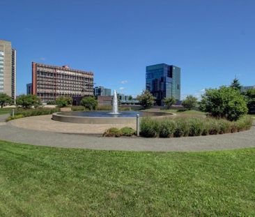 Appartement à louer - Longueuil (Le Vieux-Longueuil) (Montréal Sud) - Photo 5