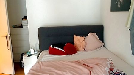 2½ Zimmer-Wohnung in Schübelbach (ZH), möbliert, auf Zeit - Foto 3