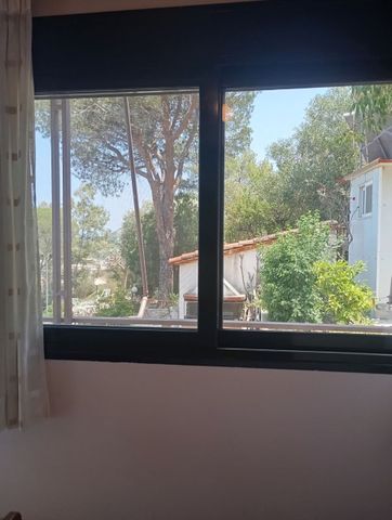 Μονοκατοικία για ενοικίαση Πόρτο Ράφτη (Μαρκόπουλο) - Φωτογραφία 4