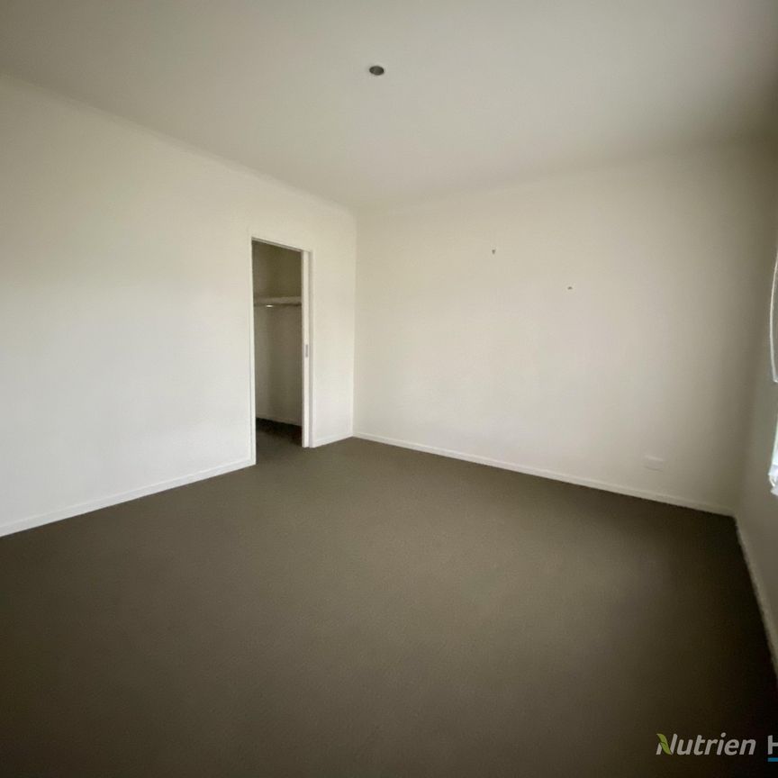 Large, Light-filled One Bedroom Unit - Photo 1
