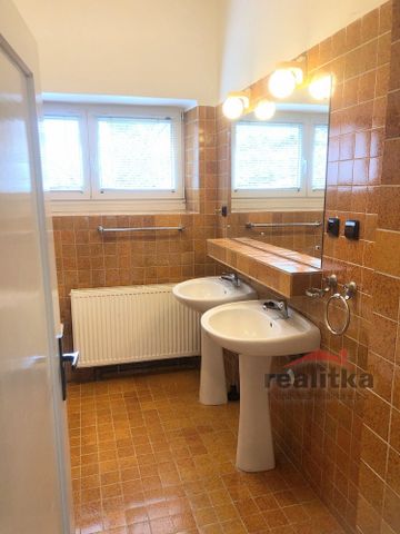 Pronájem bytu 4+1 160 m² - Fotografie 4