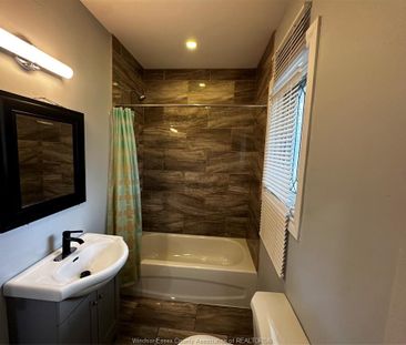 For Lease - 3114 PETER Street, Windsor, Ontario - Photo 4