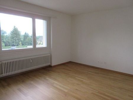 We are looking for you! 2 months FREE! - Photo 3