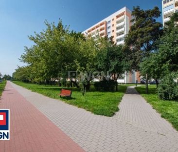 Mieszkanie na wynajem w bloku Elbląg, Zawada - Photo 6