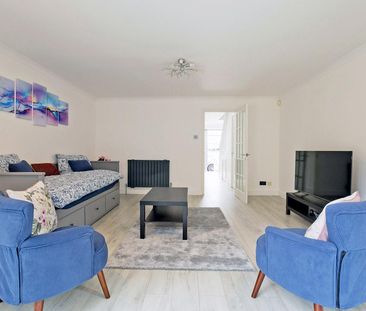 Pointers Close - Photo 3