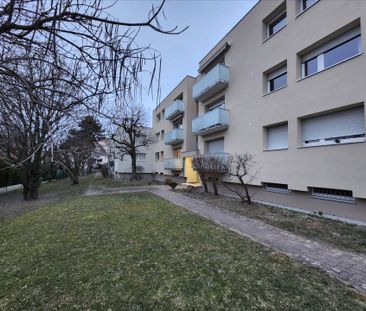 Location Appartement 63m² - Photo 1