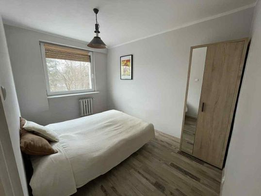 Widok Na Morze Winda Długi Termin Zwierzęta Sopot - Photo 1