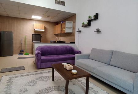 The most beautiful furnished one-bedroom apartment - Photo 4