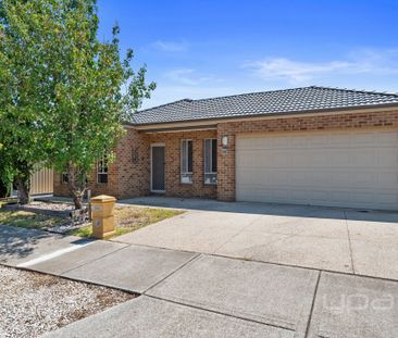 Spacious Family Living in Harkness - Photo 6